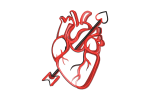 Anatomical Heart Embroidery Design