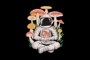 Astronaut Embroidery Design