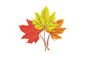 Beautiful Maple Leaves Machine Embroidery Design