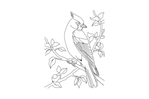 Bird on Branch Embroidery Design