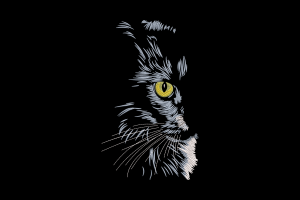 Black Cat Eyes Embroidery Design