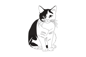 Black White Cat Embroidery Design