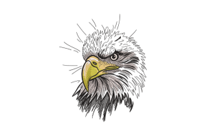 Bold Bald Eagle Embroidery Design
