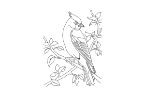 Cardinal Bird on Branch Embroidery Design