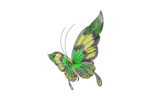 Colorful Butterfly Embroidery Design