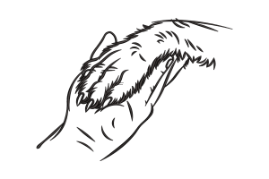 Compassionate Paw and Hand Embroidery Design