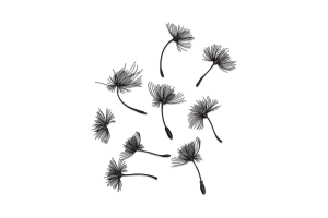 Dandelion Seeds Embroidery Design