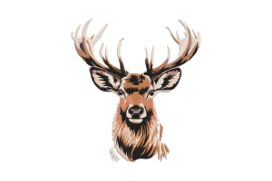 Deer Head Embroidery Design
