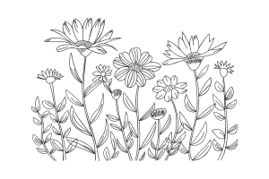 Elegant Floral Outline Embroidery Design