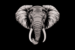 Elephant Head Embroidery Design