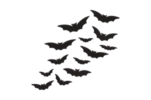 Flying Bats Embroidery Design