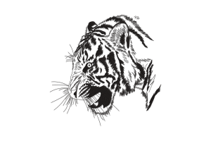 Growling Tiger Embroidery Design