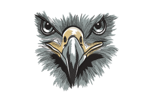 Majestic Eagle Head Embroidery Design