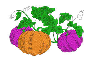 Purple and Orange Pumpkin Embroidery Design