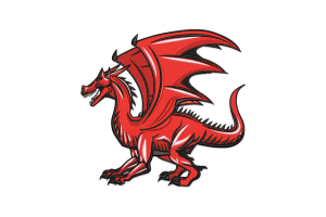 Red Dragon Embroidery Design File