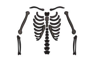 Skeleton Ribcage Embroidery Design