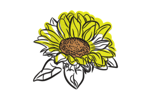 Sunflower Embroidery Design